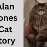 Alan Jones Cat  | An Amazed and Unexpected Twists Story