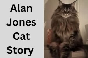 Read more about the article Alan Jones Cat  | An Amazed and Unexpected Twists Story