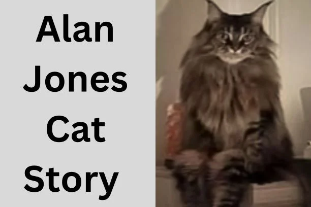 You are currently viewing Alan Jones Cat  | An Amazed and Unexpected Twists Story