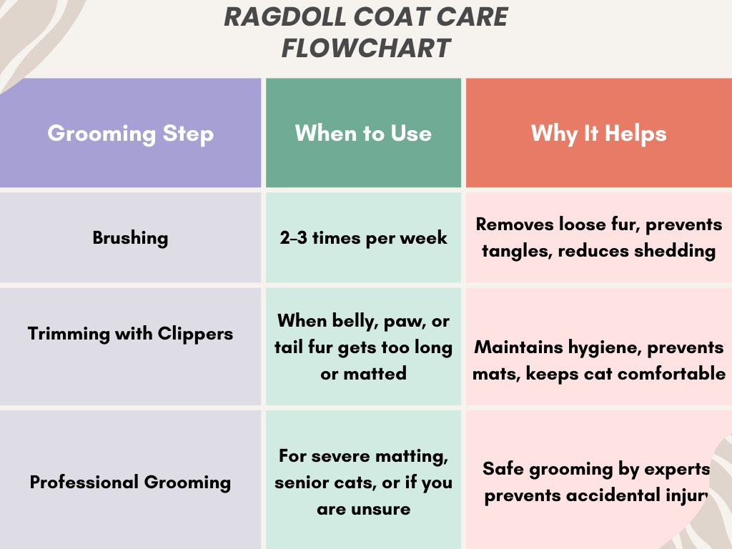 Best Clippers for Ragdoll Cats – 2025 Grooming Guide”